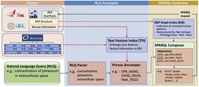 NLIMED: Natural Language Interface for Model Entity Discovery in Biosimulation Model Repositories